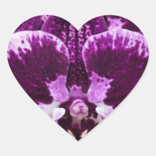 Lila Orchid Heart Stickers