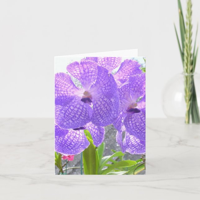 LILA ORCHID KARTE (Vorderseite)