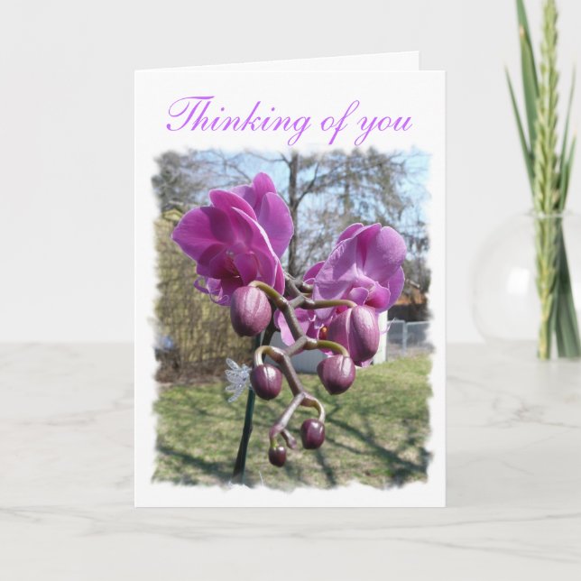Lila Orchid Karte (Vorderseite)