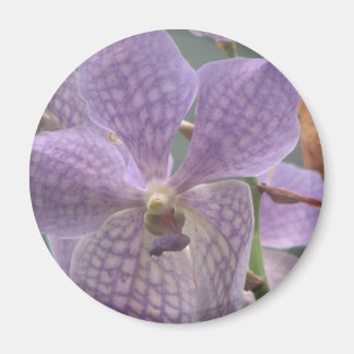 Lila Orchid Magnet