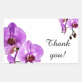 Lila orchid phalaenopsis danke rechteckiger aufkleber