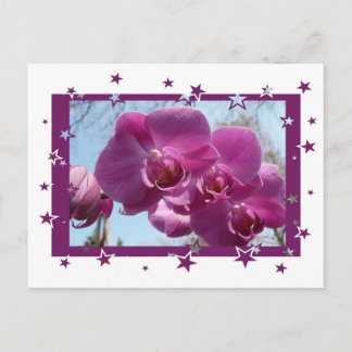 Lila Orchid Postkarte