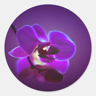 Lila Orchid Runder Aufkleber