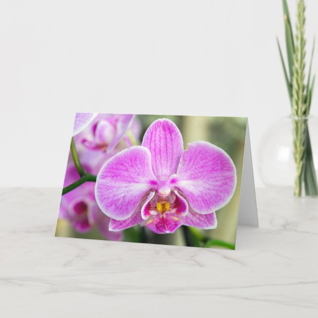 Lila Orchid sagt Hi Karte (Vorderseite)