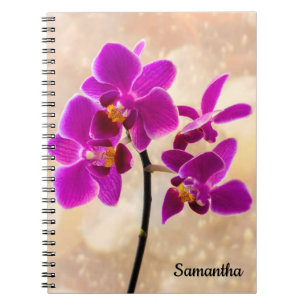 Lila Orchid Spiralheft Notizblock