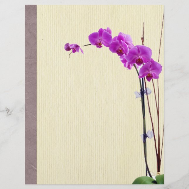 Lila Orchidee (Vorderseite)