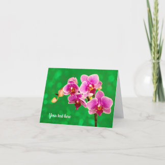 Lila Orchidee auf grüner Grußkarte Karte