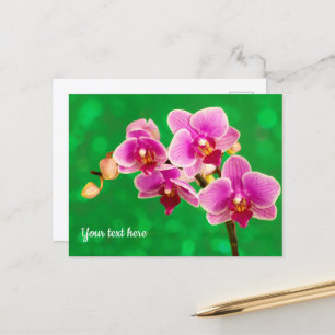 Lila Orchidee auf grüner Postkarte