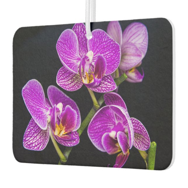 Lila Orchidee Autolufterfrischer (Links)