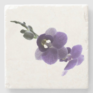 Lila Orchidee Blume, Stone Untersetzer