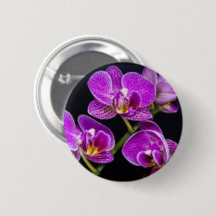 Lila Orchidee Button