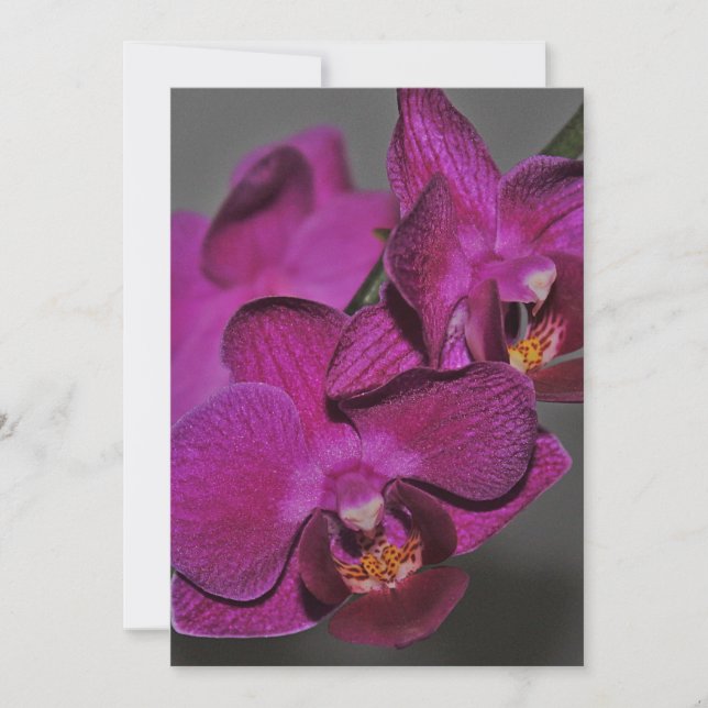 Lila Orchidee Einladung (Vorderseite)