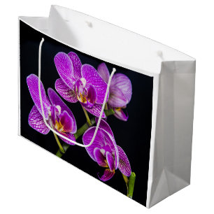 Lila Orchidee Große Geschenktüte