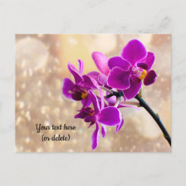 Lila Orchidee Postkarte