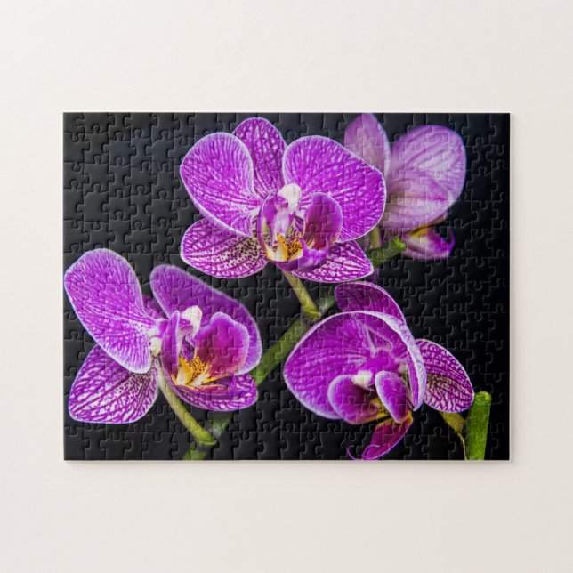 Lila Orchidee Puzzle (Horizontal)