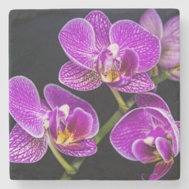 Lila Orchidee Steinuntersetzer