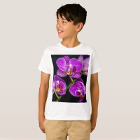 Lila Orchidee