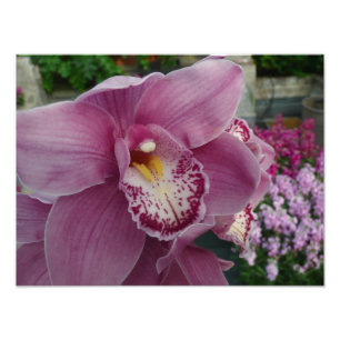 Lila Orchidee und Gartenfarben Fotodruck