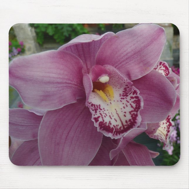 Lila Orchidee und Gartenfarben Mousepad (Vorne)