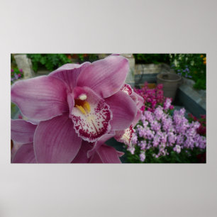Lila Orchidee und Gartenfarben Poster
