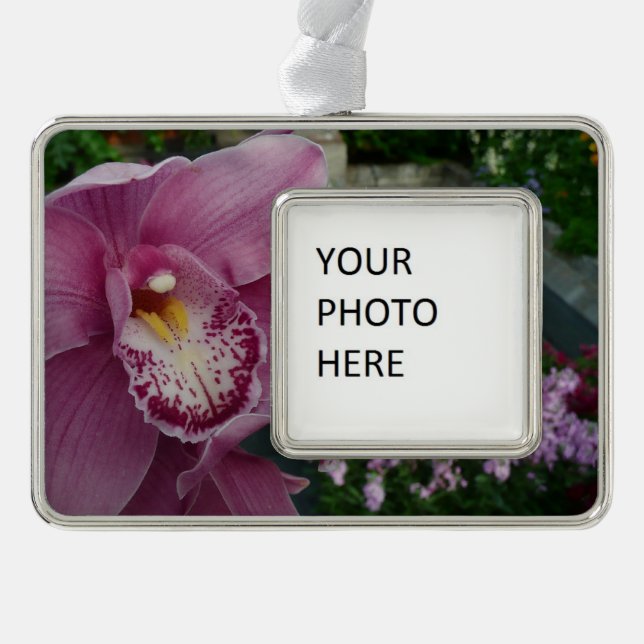 Lila Orchidee und Gartenfarben Rahmen-Ornament Silber (Vorderseite)
