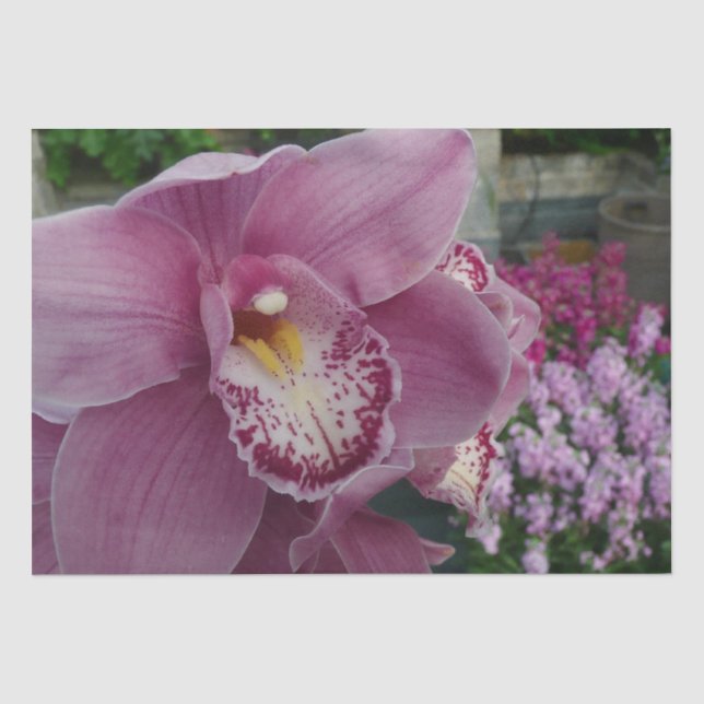 Lila Orchidee und Gartenfarben Seidenpapier (Vorderseite)