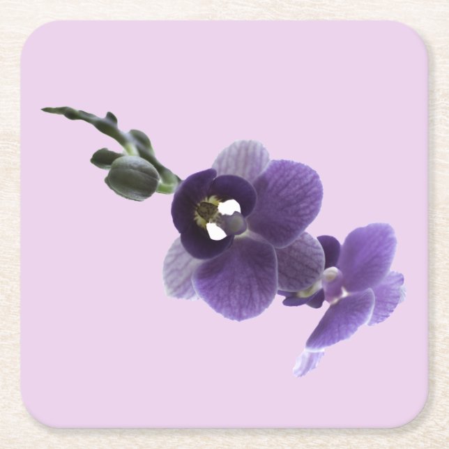 Lila Orchideen-Blume, Untersetzer (Vorderseite)