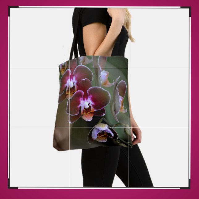 Lila Orchideen Botanische Blume (Von Creator hochgeladen)