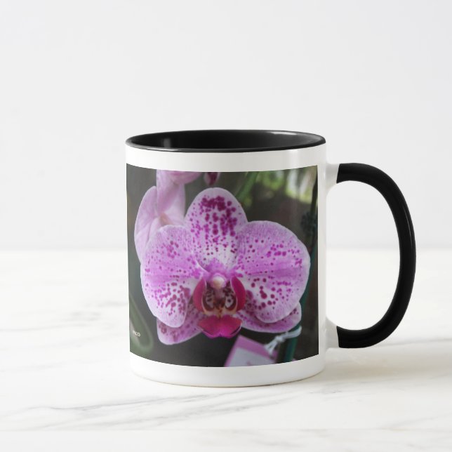 Lila Orchideen-Doppeltes mit der Grenzwecker-Tasse Tasse (Rechts)