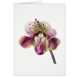 Lila Orchideen-Karte 5" X 7" freier Raum, mit