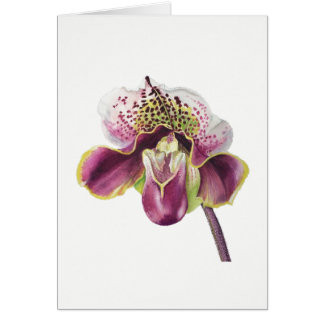 Lila Orchideen-Karte 5" X 7" freier Raum, mit