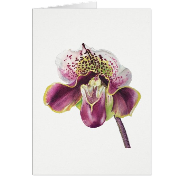 Lila Orchideen-Karte 5" X 7" freier Raum, mit (Vorne)