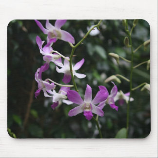 Lila Orchideen Mousepad
