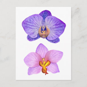 Lila Orchideen Postkarte