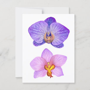 Lila Orchideen Postkarte