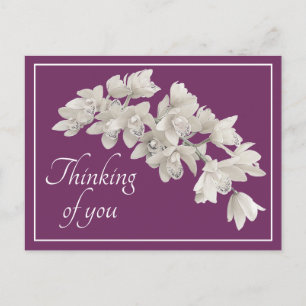 Lila Orchideen Postkarte