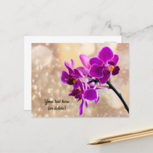 Lila-Orchideen-Postkarte Postkarte