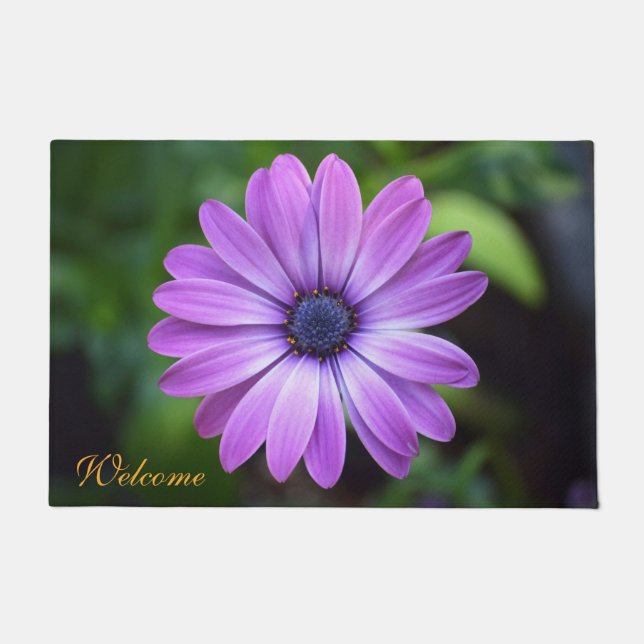 Lila Osteopermum Doormat Fußmatte (Vorderseite)