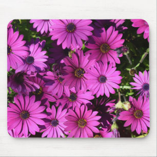 Lila Osteospermum-Blume Mousepad