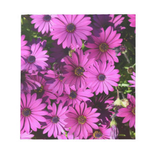 Lila Osteospermum-Blume Notizblock