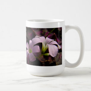 Lila Oxalis-Blüten Tasse