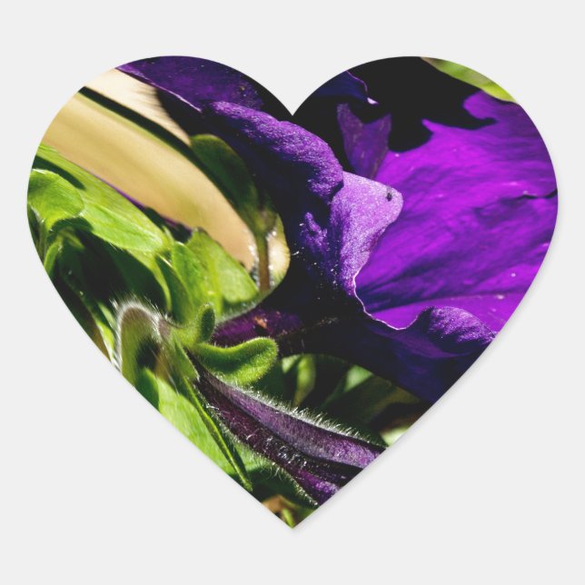 Lila Panik Herz-Aufkleber (Vorderseite)