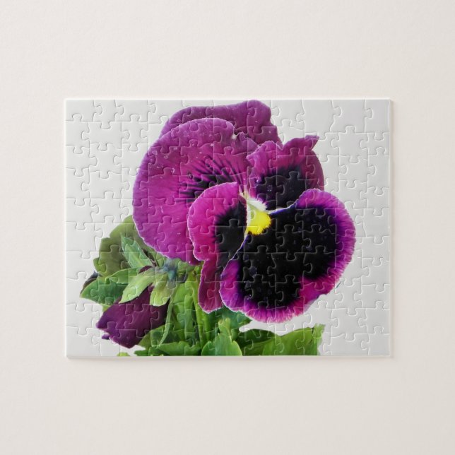 lila Panikpuzzle Puzzle (Horizontal)