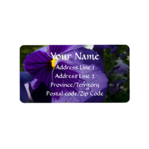 Lila Pansy Adressaufkleber
