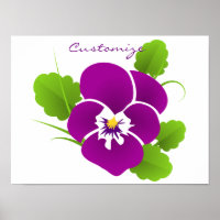 Lila Pansy Blume Thunder_Cove
