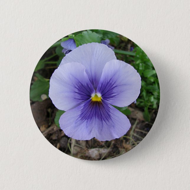 Lila Pansy Button (Vorderseite)