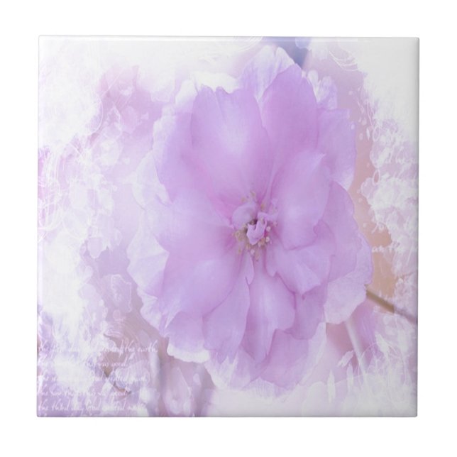 Lila Pansy Fliese (Vorderseite)