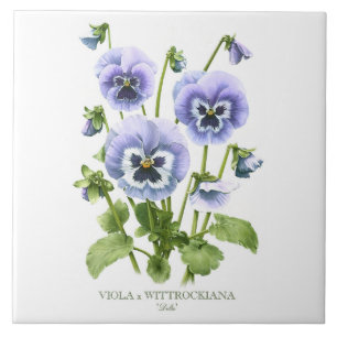 Lila Pansy Floral Botanischer Stil Kunst Fliese