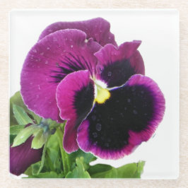 Lila Pansy Glasuntersetzer