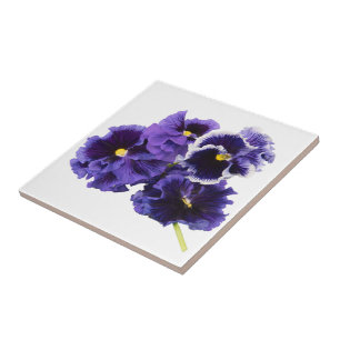 Lila Pansy-Keramik-Fliese Fliese